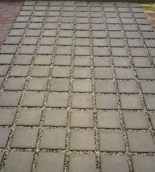 Ekobruģis — foto 2